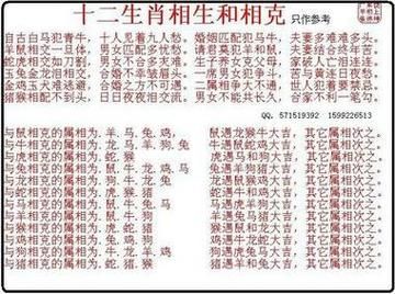 狗和属相相冲吗_属狗与哪些生肖不合