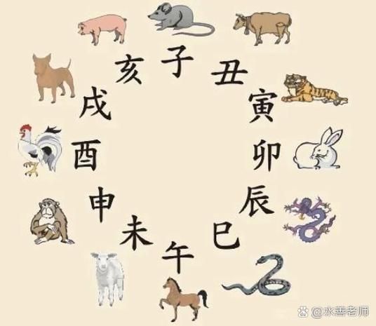 立春出生属什么_立春宝宝属相怎么算