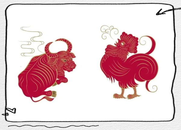 女牛和男鸡属相合不合_婚姻配对好吗