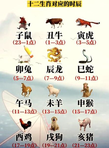 属牛和属虎哪个好_属相牛虎优缺点对比