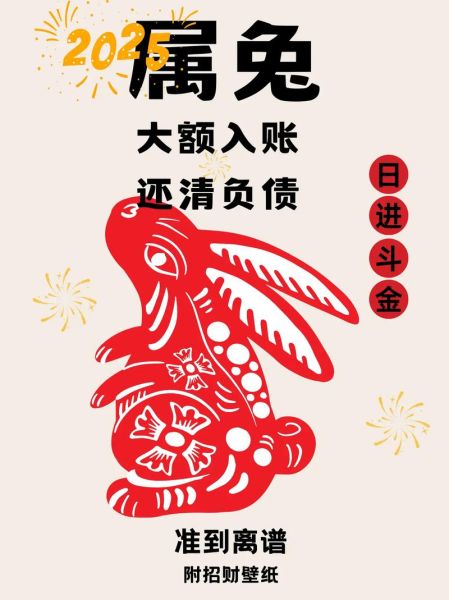 属兔2024财运如何_属兔今年财运旺不旺