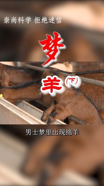 梦到杀羊流了好多血_是什么意思