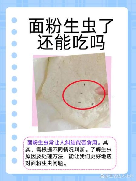 梦到面粉生了好多虫_是什么预兆