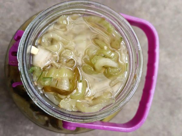 梦到腌制是什么意思_梦见腌菜代表什么