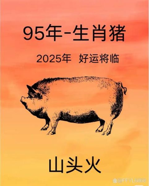 1995年属什么生肖_1995年属猪的人2025年运势如何