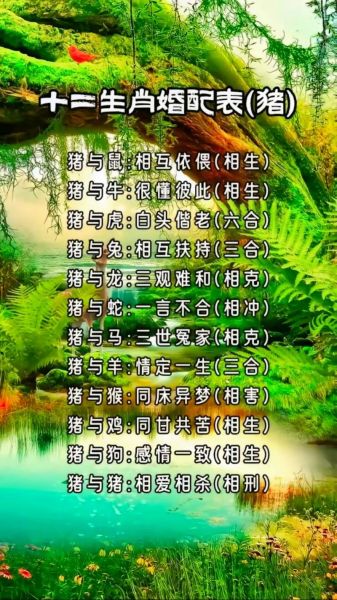 男老鼠和女猪属相配吗_属鼠男与属猪女婚姻合不合