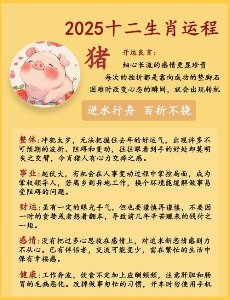 属猪今日爱情运势如何_属猪今日感情走向