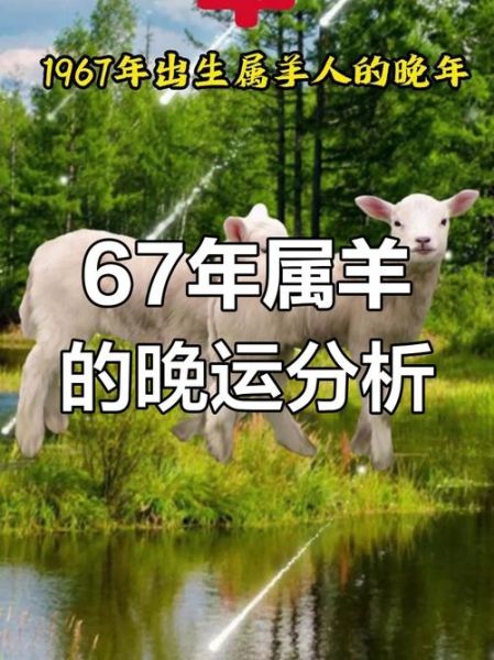67年属羊今年财运怎么样_67年出生的人财运如何提升