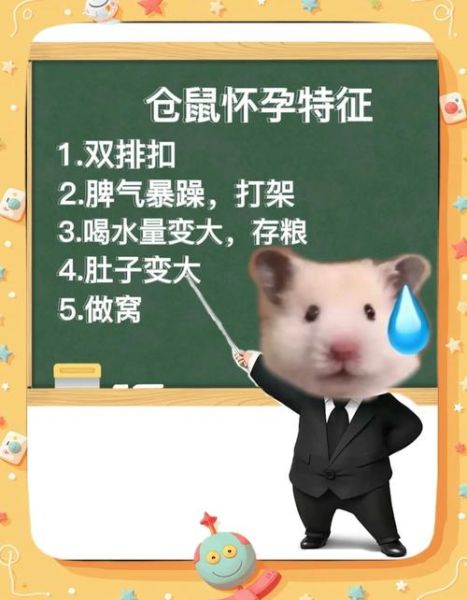 孕妇梦到死老鼠_胎梦寓意是什么