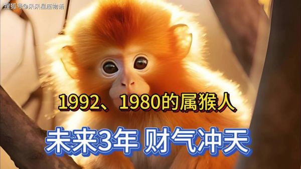1980年属猴今年财运如何_2024年财富提升方法