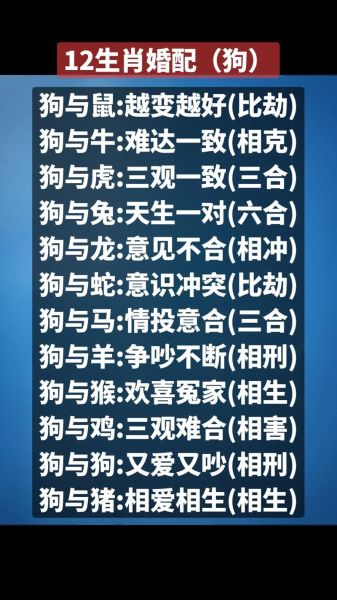 属狗和什么属相最配_属狗和哪些属相相冲