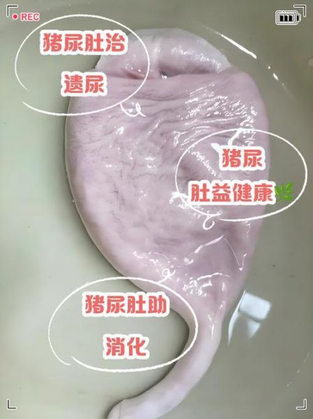 梦到猪屎是什么意思_周公解梦猪屎象征财运吗