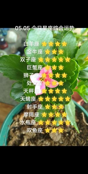 白羊座8月21运势_白羊座今天财运如何