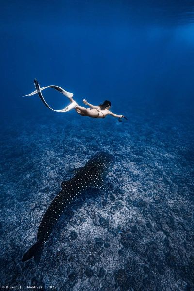 梦到潜水是什么意思_梦见潜水好不好