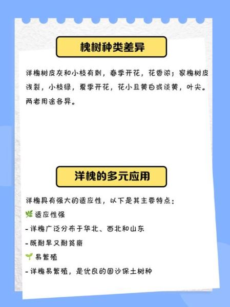 梦到洋槐树是什么意思_洋槐树梦境解析