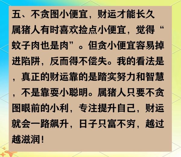 2019年属猪财运怎么样_属猪2019年财运如何提升