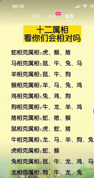 属龙和什么属相相冲_属龙相克属相有哪些