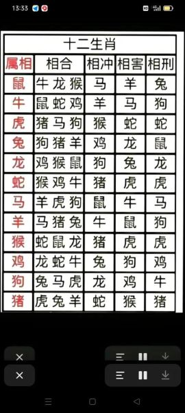 马和狗属相合不合_马狗配对婚姻如何