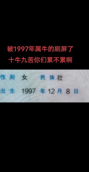 1997年出生属什么_1997年属牛人命运如何