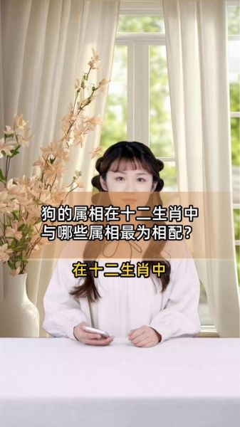 狗属相相配吗_狗和什么属相最合