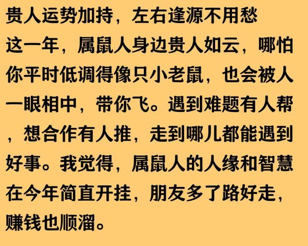 2025年属鼠运势如何_属鼠人全年财运解析