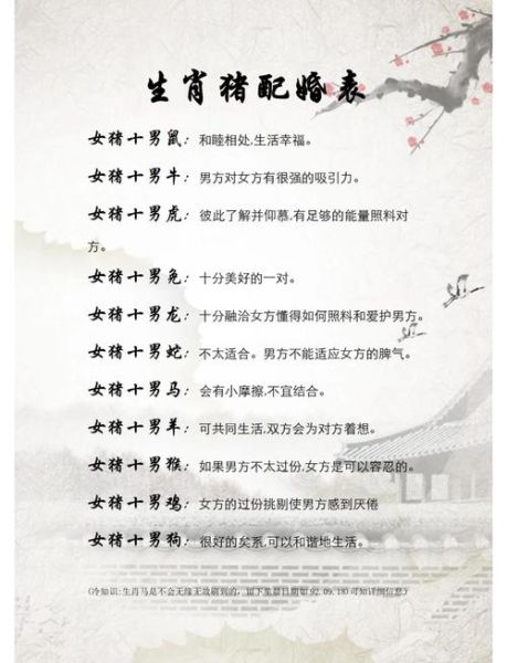 属猪人2024年运势_属猪和什么属相最配