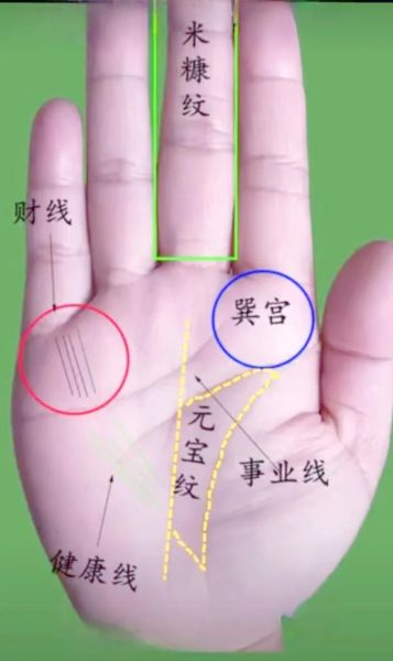 掌型看财运_如何通过掌纹判断财富运势