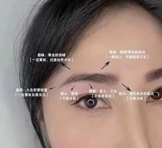 眉毛淡财运不好是真的吗_如何转运