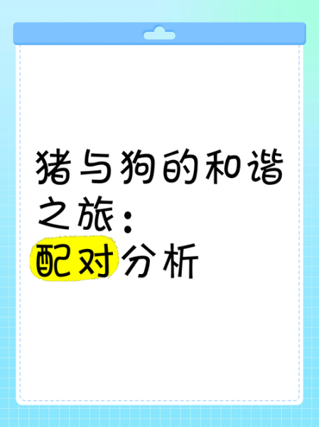 猪属相和狗属相哪个好_猪狗属相优缺点对比