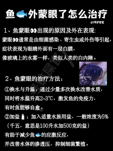鱼眼财运不好怎么办_破解鱼眼风水禁忌