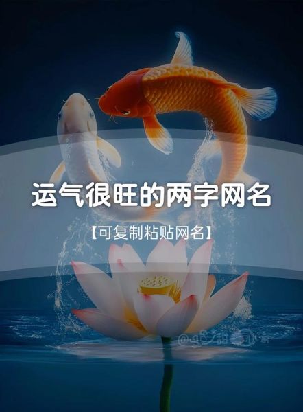 带来财运的网名两个字_如何取