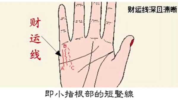 右手财运线图解怎么看_右手财运线分叉代表什么