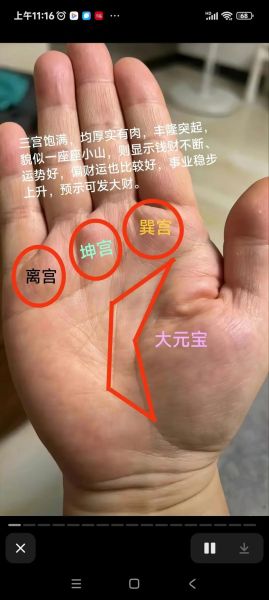 财运线在哪里_手相财运线怎么看