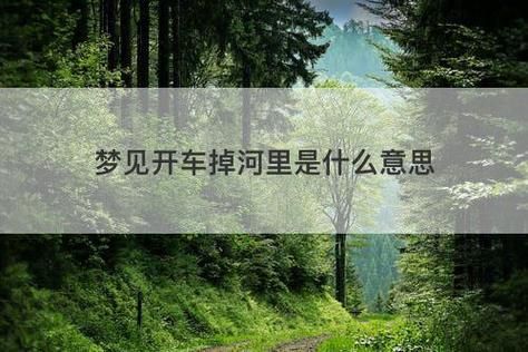 梦到开车上陡坡_是什么意思