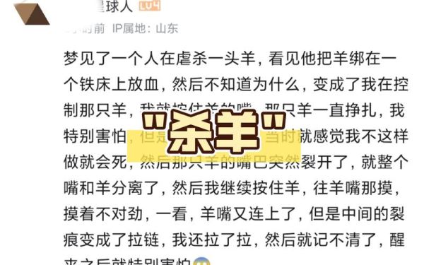 梦到送羊肉是什么意思_梦见送羊肉给朋友预示什么
