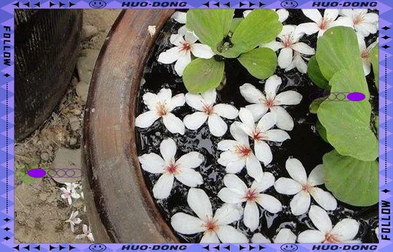 梦到水缸破了_水缸破裂预示什么