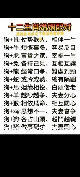 狗和什么属相相生_属狗人最佳婚配生肖