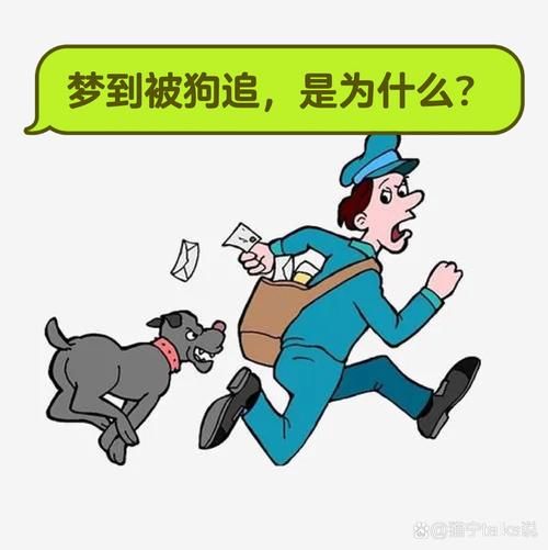 梦到被恶狗追是什么意思_如何化解