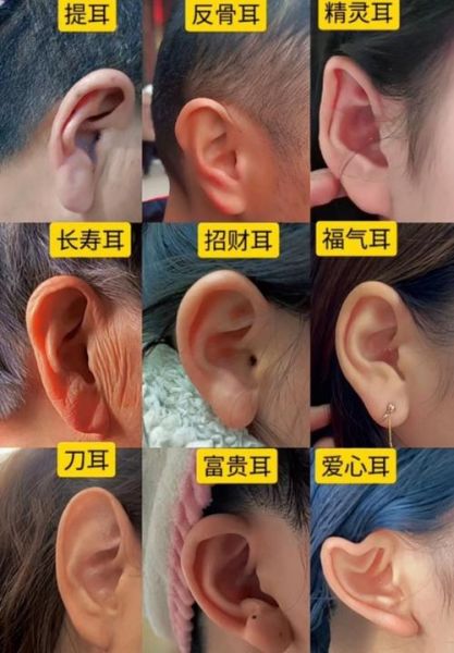 耳朵大小与财运有关吗_耳垂厚真的招财吗
