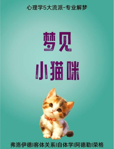 梦到猫追我是什么意思_如何化解