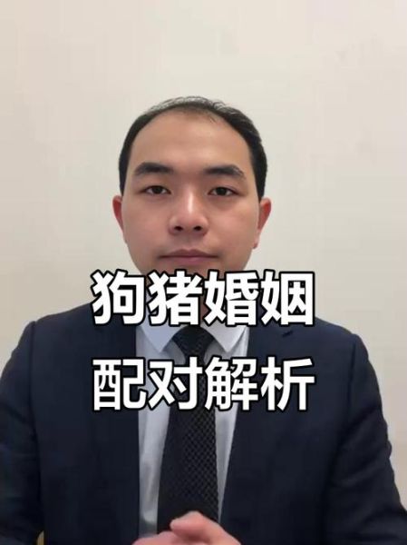 猪跟狗的属相合不合_婚姻与财运配对分析