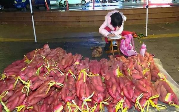 梦到偷地瓜是什么意思_偷地瓜梦境解析