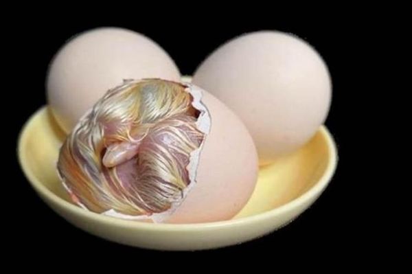 梦到吃鸡蛋是什么意思_梦见吃鸡蛋好不好