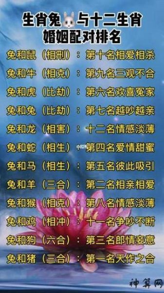 1999年属兔最佳婚配属相_属兔1999和什么属相最配