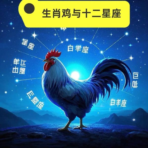 属鸡白羊座今日运势_如何提升财运与感情运