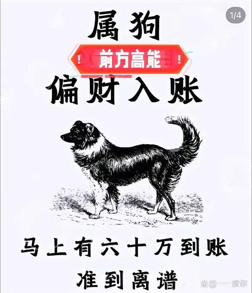 狗带财运吗_养狗招财风水禁忌