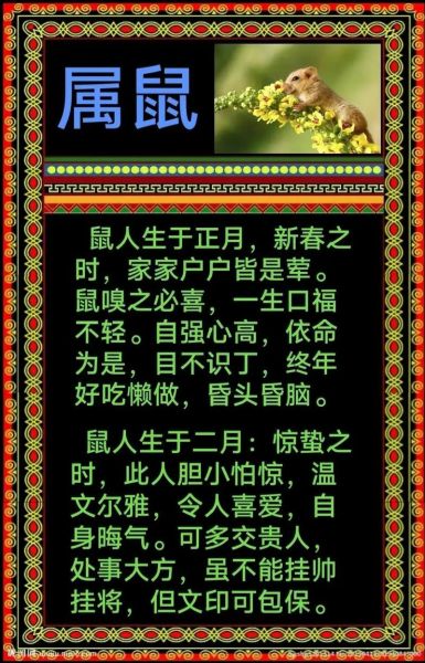 老鼠属相不好吗_属鼠人命运解析