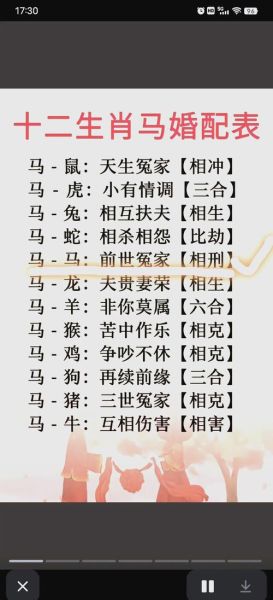 属相配对查询免费_生肖合不合怎么看