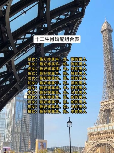 属相免费配对_哪些生肖最合婚