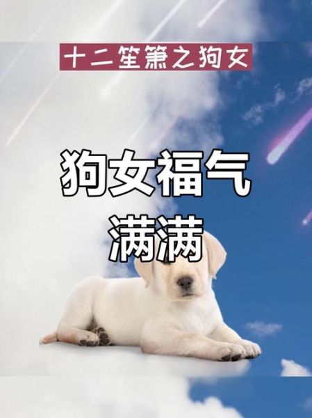 1982年属狗女财运如何_2024年财运提升方法